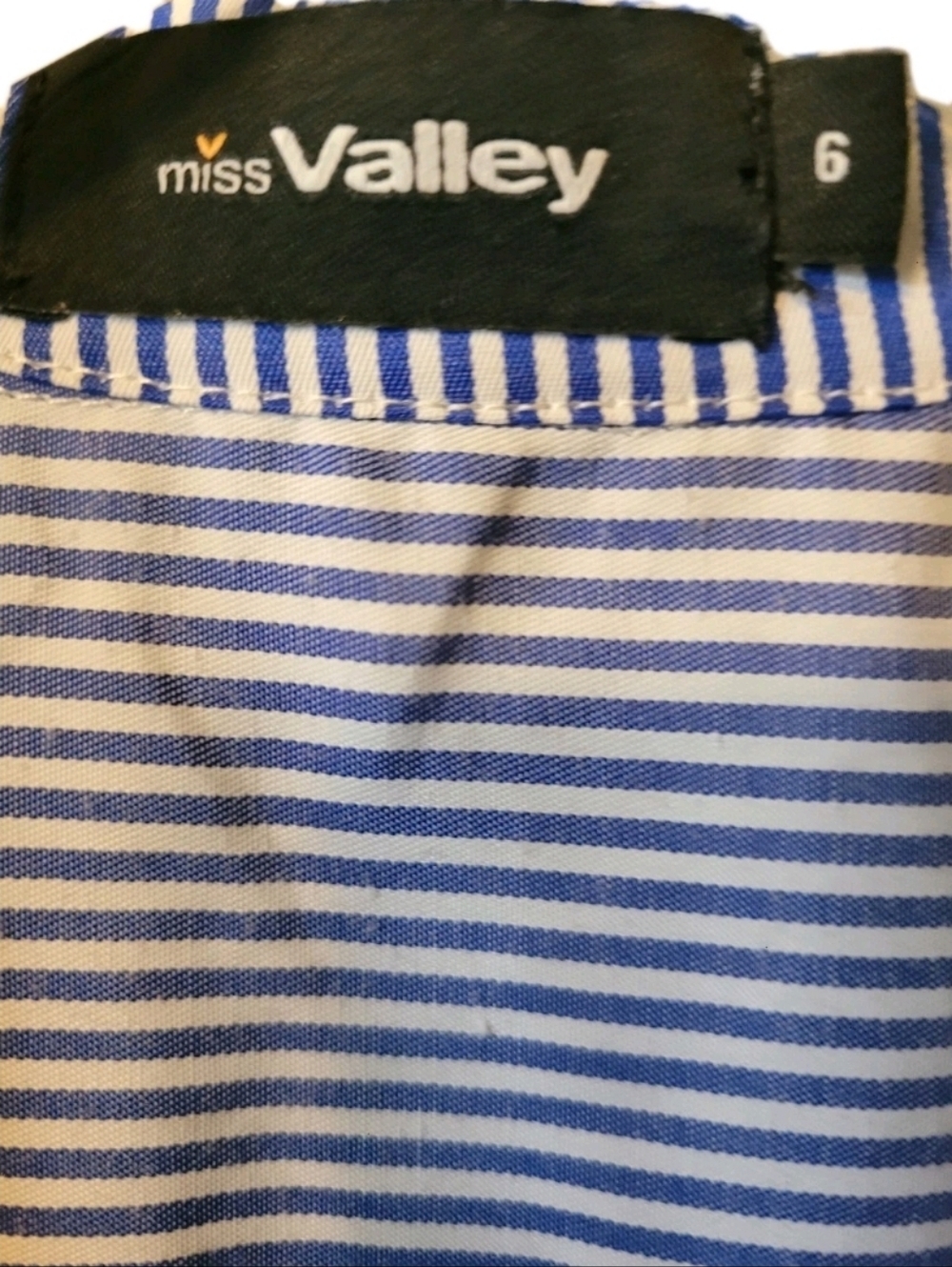 Blue Striped Sleeveless Shirt Dress Sz 6 Rose Embroidery Clean Girl Soft Girl - Picture 2 of 5